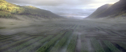 199393.jpg