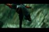 PDVD_7_4~0.JPG