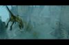 PDVD_8_6.JPG