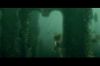 PDVD_11_1~0.JPG