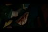 PDVD_16_7.JPG