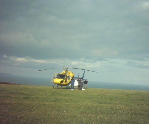 Click to view full size image
==============
eastbourne02.jpg eastbourne02.jpg