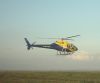eastbourne05.jpg