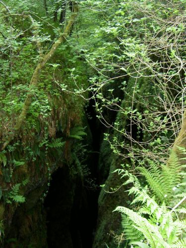 Click to view full size image
==============
brgorge06.jpg brgorge06.jpg