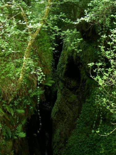 brgorge08.jpg