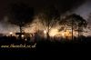 qwc-fires.jpg
