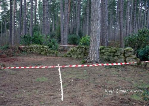 pic-blackpark04.jpg