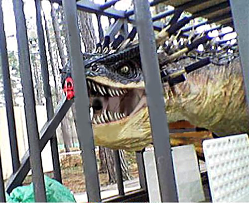 standinhorntail01.jpg