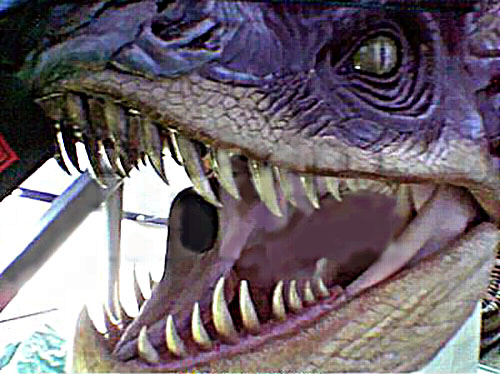 standinhorntail02.jpg standinhorntail02.jpg