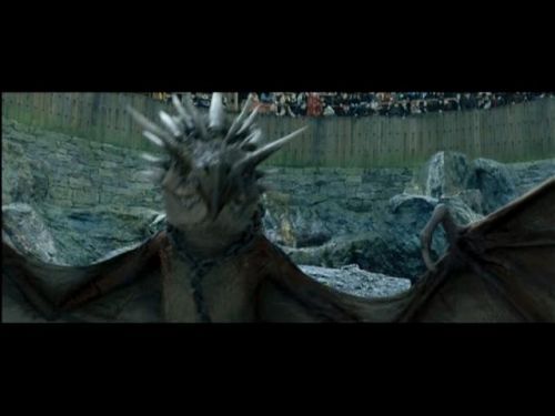 POTTER_GOBLET_OF_FIRE_BONUS-012.jpg