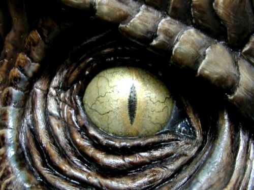 POTTER_GOBLET_OF_FIRE_BONUS-052.jpg