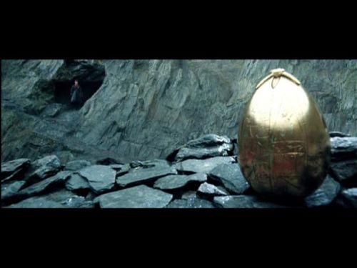 POTTER_GOBLET_OF_FIRE_BONUS-074.jpg