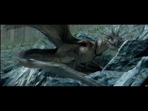 Click to view full size image
==============
POTTER_GOBLET_OF_FIRE_BONUS-080.jpg POTTER_GOBLET_OF_FIRE_BONUS-080.jpg