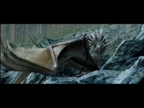 POTTER_GOBLET_OF_FIRE_BONUS-081.jpg