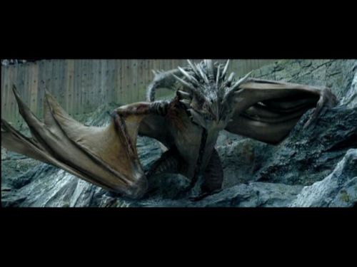 POTTER_GOBLET_OF_FIRE_BONUS-082.jpg