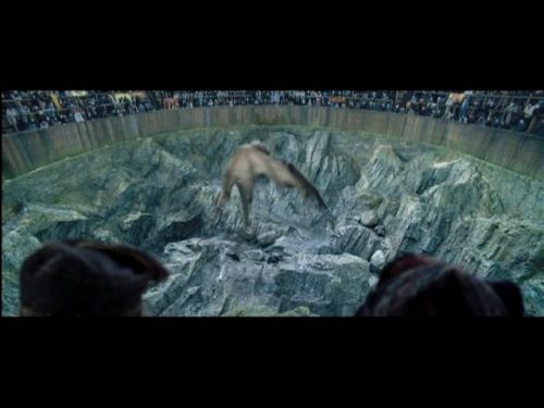 POTTER_GOBLET_OF_FIRE_BONUS-088.jpg