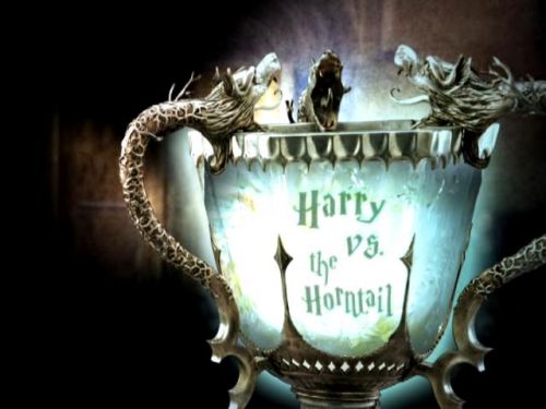 POTTER_GOBLET_OF_FIRE_BONUS-0_2.jpg