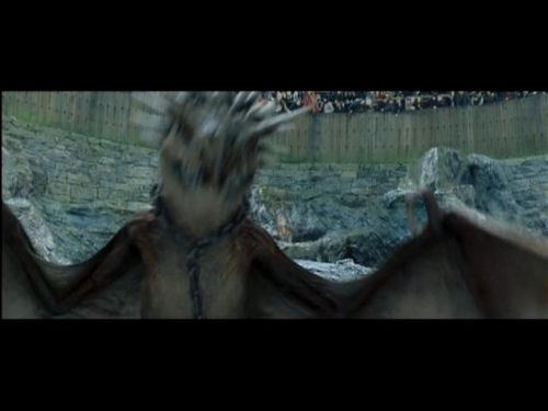 POTTER_GOBLET_OF_FIRE_BONUS-0_7.jpg