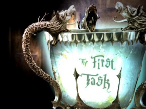 POTTER_GOBLET_OF_FIRE_BONUS-0__.jpg