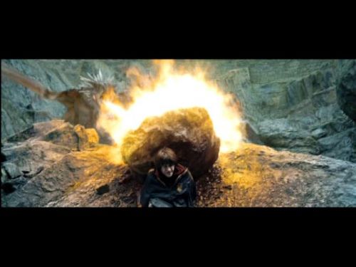 POTTER_GOBLET_OF_FIRE_BONUS-100.jpg