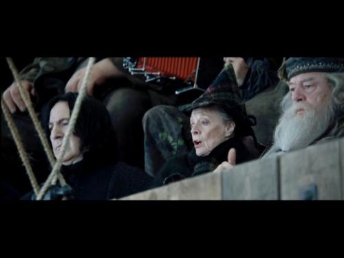 POTTER_GOBLET_OF_FIRE_BONUS-105.jpg