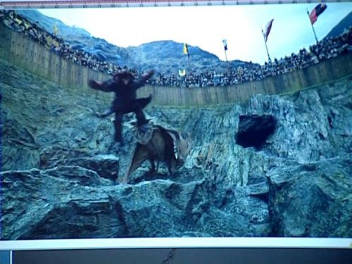 POTTER_GOBLET_OF_FIRE_BONUS-14_.jpg