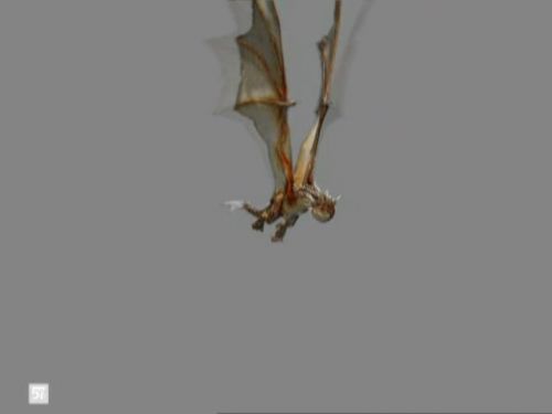 Click to view full size image
==============
POTTER_GOBLET_OF_FIRE_BONUS-161.jpg POTTER_GOBLET_OF_FIRE_BONUS-161.jpg