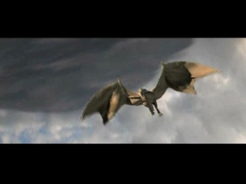 POTTER_GOBLET_OF_FIRE_BONUS-167.jpg