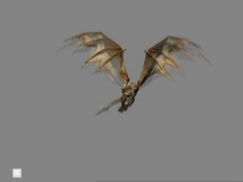 Click to view full size image
==============
POTTER_GOBLET_OF_FIRE_BONUS-16_.jpg POTTER_GOBLET_OF_FIRE_BONUS-16_.jpg