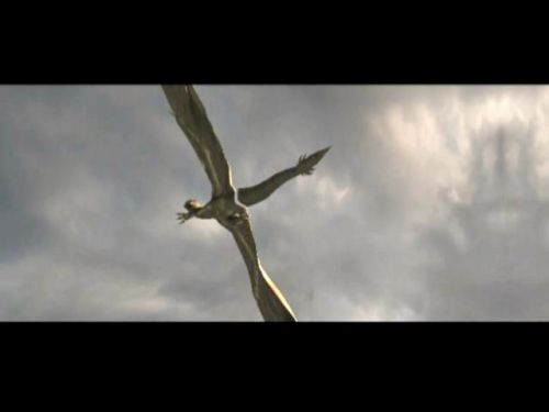 POTTER_GOBLET_OF_FIRE_BONUS-172.jpg