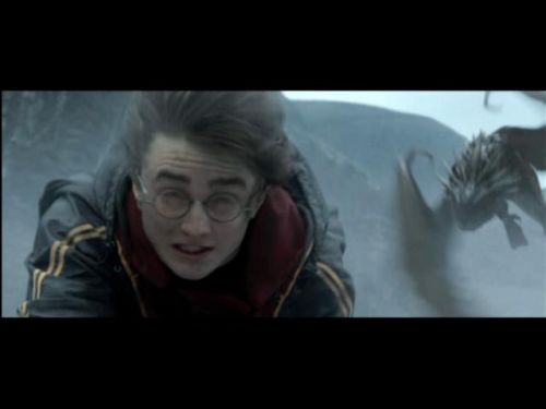 Click to view full size image
==============
POTTER_GOBLET_OF_FIRE_BONUS-180.jpg POTTER_GOBLET_OF_FIRE_BONUS-180.jpg