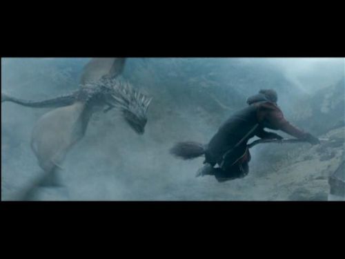 POTTER_GOBLET_OF_FIRE_BONUS-185.jpg