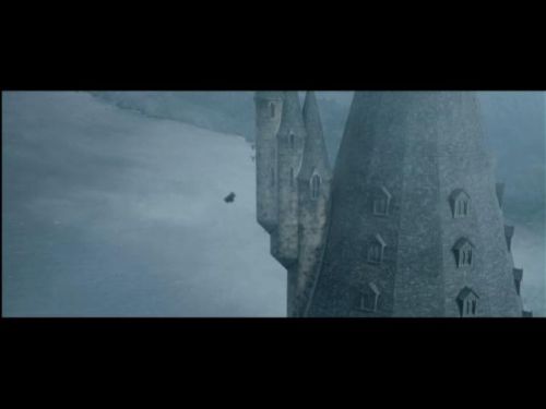 POTTER_GOBLET_OF_FIRE_BONUS-1_5~0.jpg