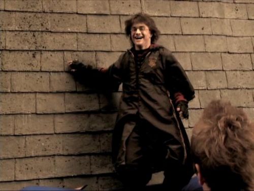 POTTER_GOBLET_OF_FIRE_BONUS-244.jpg