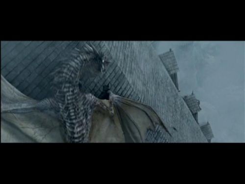 POTTER_GOBLET_OF_FIRE_BONUS-257.jpg