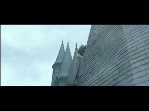 POTTER_GOBLET_OF_FIRE_BONUS-25_.jpg