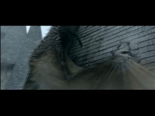 POTTER_GOBLET_OF_FIRE_BONUS-260.jpg