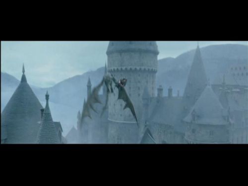 POTTER_GOBLET_OF_FIRE_BONUS-27_.jpg
