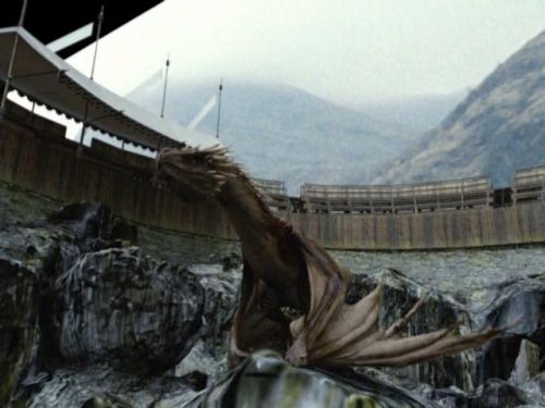 Click to view full size image
==============
POTTER_GOBLET_OF_FIRE_BONUS-286.jpg POTTER_GOBLET_OF_FIRE_BONUS-286.jpg