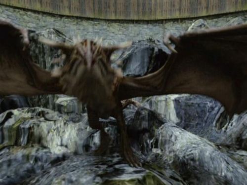 POTTER_GOBLET_OF_FIRE_BONUS-2_5~0.jpg