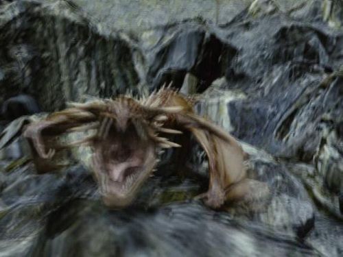 POTTER_GOBLET_OF_FIRE_BONUS-2_7.jpg