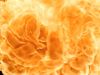 POTTER_GOBLET_OF_FIRE_BONUS-02_~0.jpg