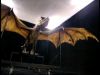 POTTER_GOBLET_OF_FIRE_BONUS-065.jpg