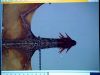 POTTER_GOBLET_OF_FIRE_BONUS-067.jpg