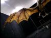 POTTER_GOBLET_OF_FIRE_BONUS-06_.jpg