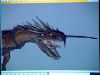 POTTER_GOBLET_OF_FIRE_BONUS-070.jpg
