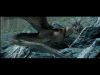 POTTER_GOBLET_OF_FIRE_BONUS-080.jpg