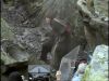 POTTER_GOBLET_OF_FIRE_BONUS-126.jpg