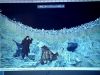 POTTER_GOBLET_OF_FIRE_BONUS-142.jpg