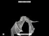 POTTER_GOBLET_OF_FIRE_BONUS-152.jpg